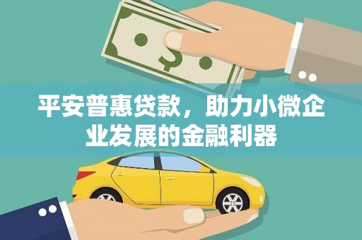 解放平安普惠贷款，助力小微企业发展的金融利器