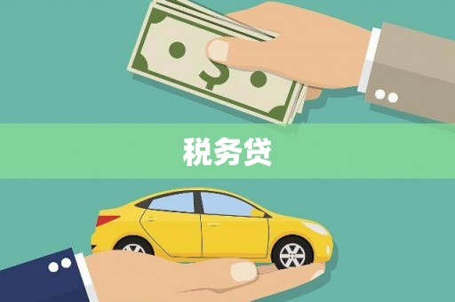 解放税务贷