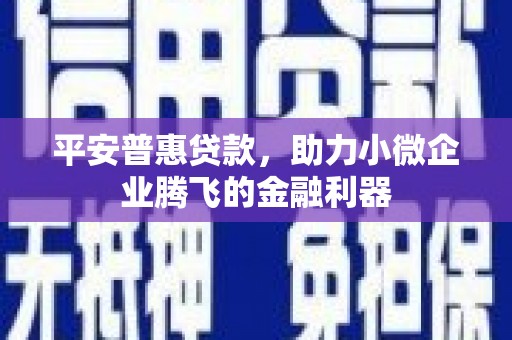 解放平安普惠贷款，助力小微企业腾飞的金融利器
