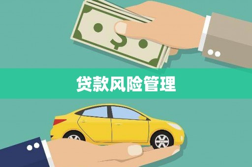 解放贷款风险管理