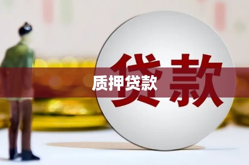 解放质押贷款