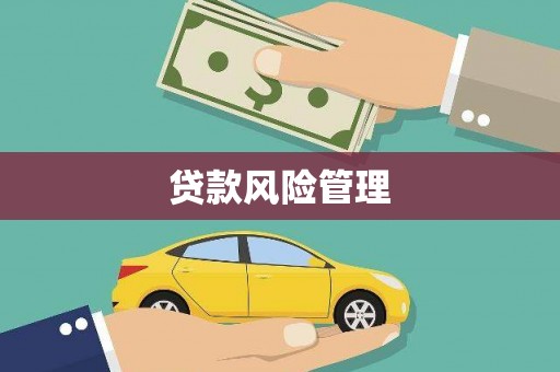 解放贷款风险管理