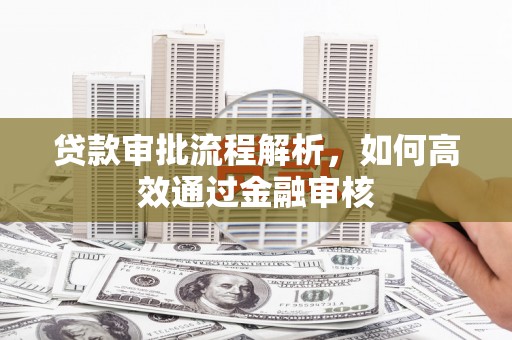解放贷款审批流程解析，如何高效通过金融审核