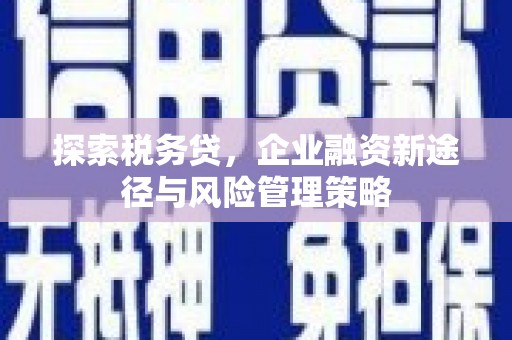 解放探索税务贷，企业融资新途径与风险管理策略