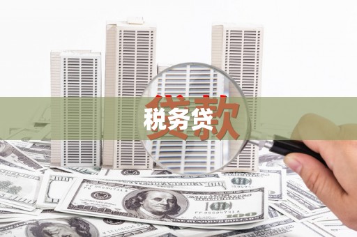 解放税务贷