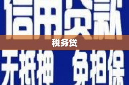 解放税务贷