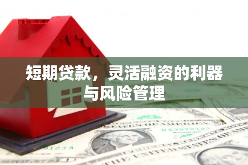 解放短期贷款，灵活融资的利器与风险管理