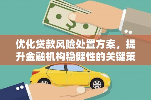 解放优化贷款风险处置方案，提升金融机构稳健性的关键策略