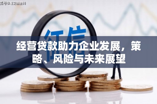 解放经营贷款助力企业发展，策略、风险与未来展望