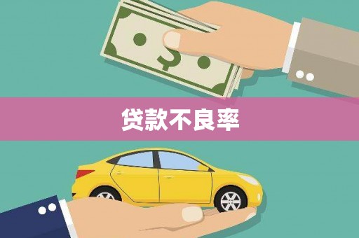 解放贷款不良率