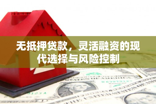 解放无抵押贷款，灵活融资的现代选择与风险控制