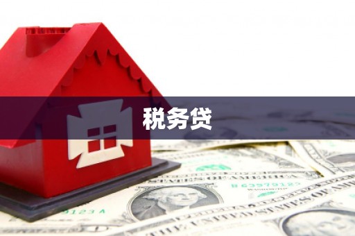 解放税务贷