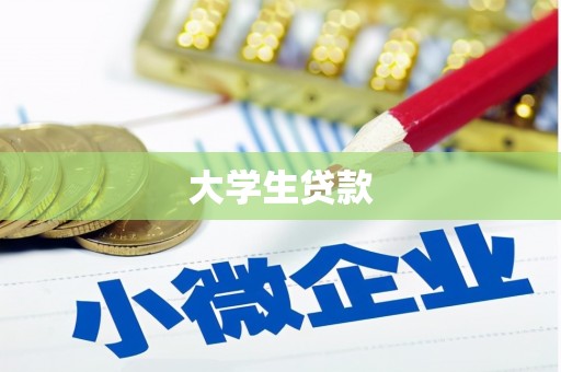 解放大学生贷款
