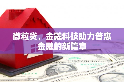 解放微粒贷，金融科技助力普惠金融的新篇章