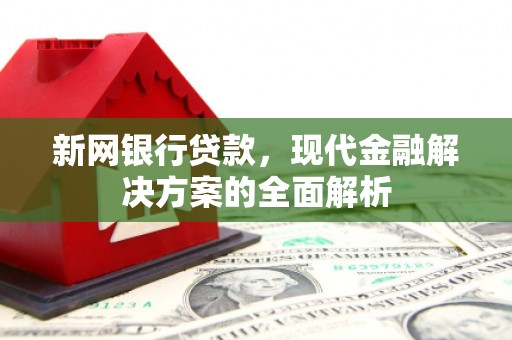解放新网银行贷款，现代金融解决方案的全面解析