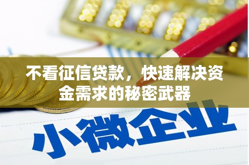 解放不看征信贷款，快速解决资金需求的秘密武器