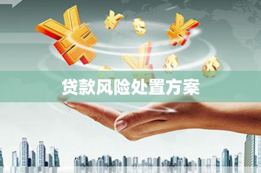 解放贷款风险处置方案