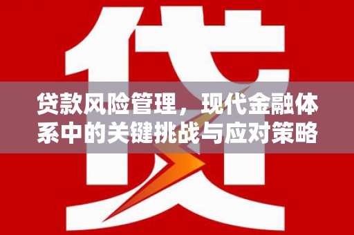 解放贷款风险管理，现代金融体系中的关键挑战与应对策略