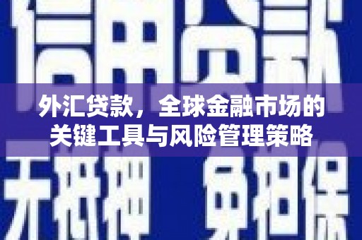 解放外汇贷款，全球金融市场的关键工具与风险管理策略