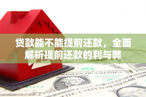 解放贷款能不能提前还款，全面解析提前还款的利与弊