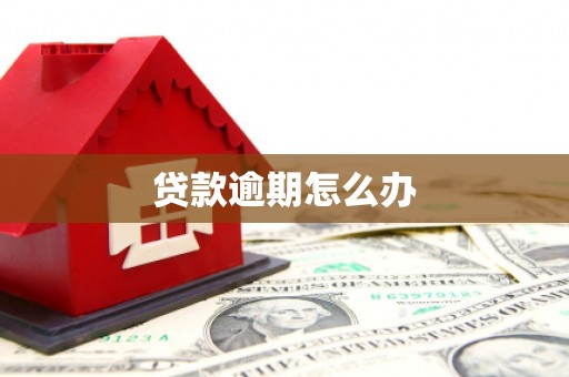 解放贷款逾期怎么办