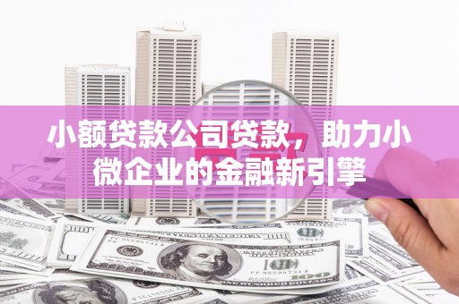 解放小额贷款公司贷款，助力小微企业的金融新引擎