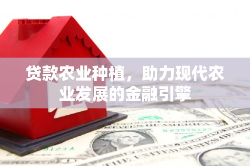 解放贷款农业种植，助力现代农业发展的金融引擎