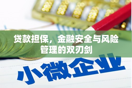 解放贷款担保，金融安全与风险管理的双刃剑