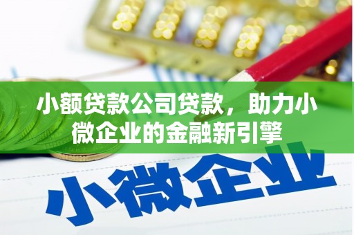 解放小额贷款公司贷款，助力小微企业的金融新引擎
