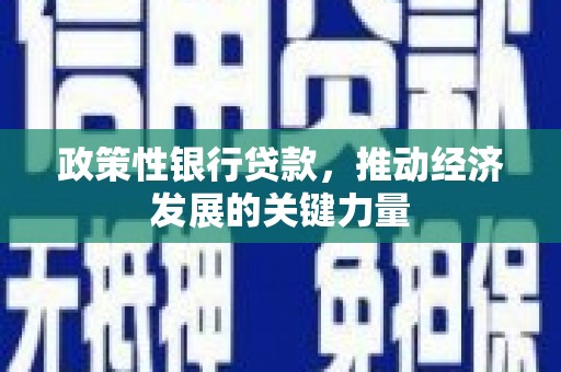解放政策性银行贷款，推动经济发展的关键力量