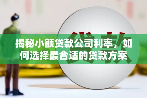 解放揭秘小额贷款公司利率，如何选择最合适的贷款方案