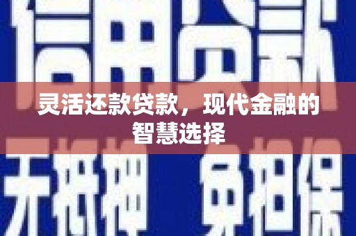 解放灵活还款贷款，现代金融的智慧选择