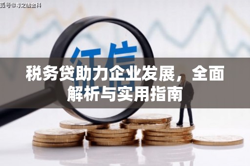 解放税务贷助力企业发展，全面解析与实用指南