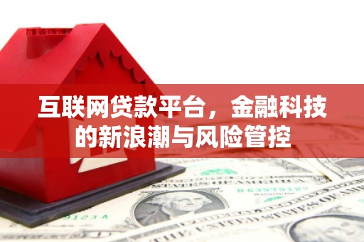 解放互联网贷款平台，金融科技的新浪潮与风险管控