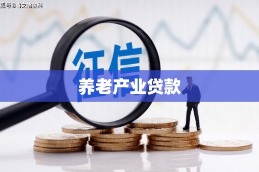 解放养老产业贷款