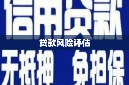 解放贷款风险评估