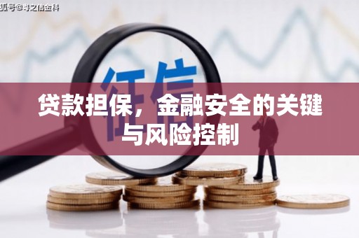 解放贷款担保，金融安全的关键与风险控制