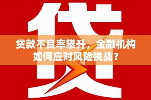 解放贷款不良率攀升，金融机构如何应对风险挑战？