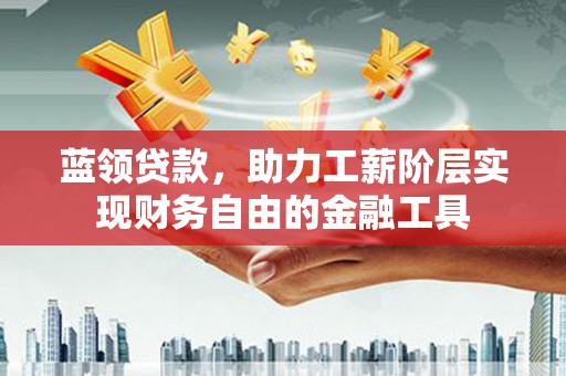 解放蓝领贷款，助力工薪阶层实现财务自由的金融工具