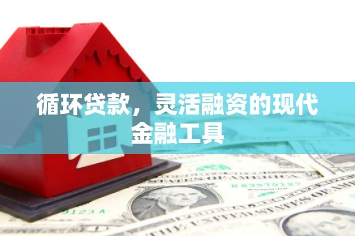 解放循环贷款，灵活融资的现代金融工具